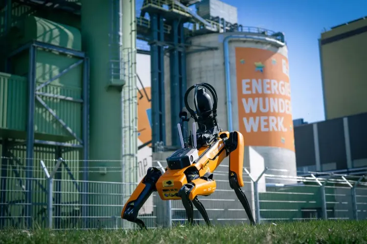 Energy Dog bei Wien Energie